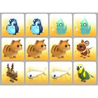 BUNDLE PET X12