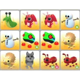 BUNDLE PET X12