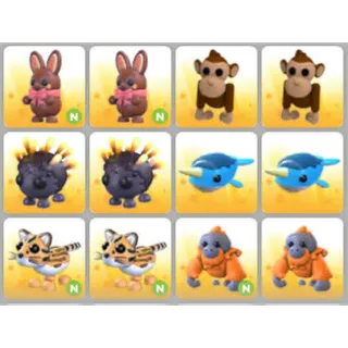 BUNDLE PET X12