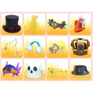 BUNDLE PET WEAR X12