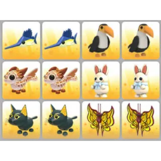 BUNDLE PET X12