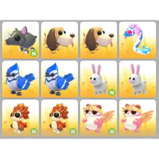 BUNDLE PET X12
