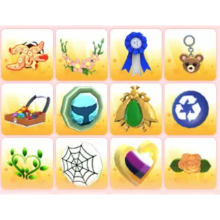 BUNDLE PET WEAR X12