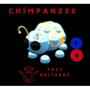 DIAMOND LADYBUG FR