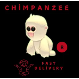 SNOW MONKEY R