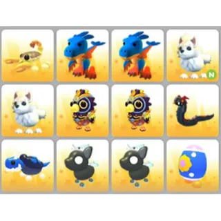 BUNDLE PET X12