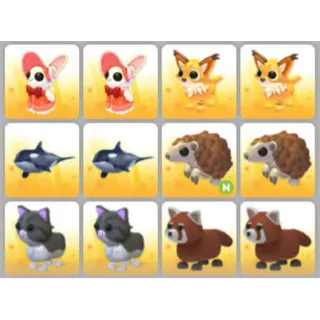 BUNDLE PET X12
