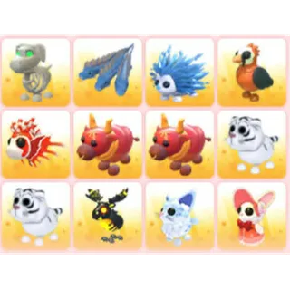 BUNDLE PET X12