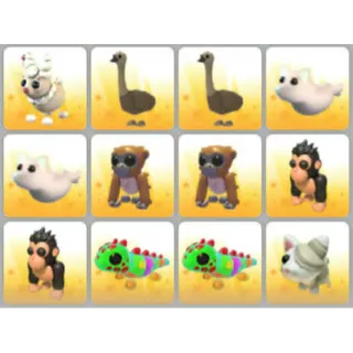 BUNDLE PET X12