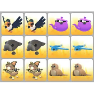 BUNDLE PET X12