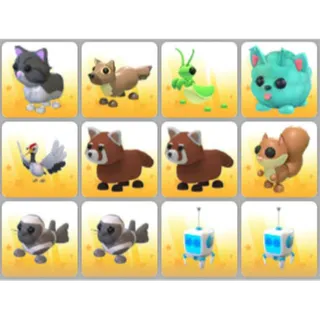 BUNDLE PET X12