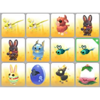BUNDLE PET X12