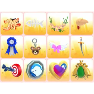 BUNDLE PET WEAR X12