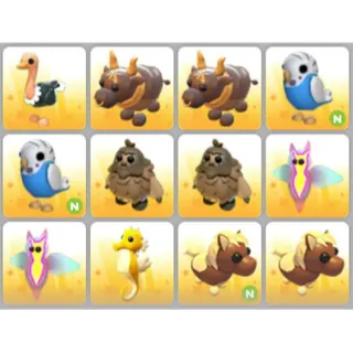 BUNDLE PET X12