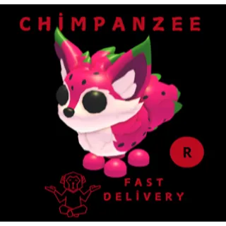 DRAGONFRUIT FOX R