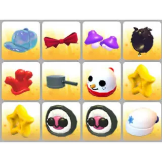 BUNDLE PET WEAR X12
