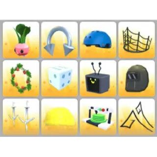 BUNDLE PET WEAR X12