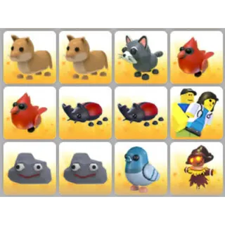 BUNDLE PET X12