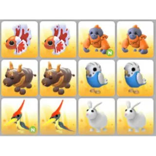 BUNDLE PET X12