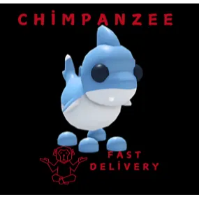 SHARK PUPPY 