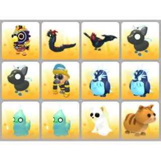 BUNDLE PET X12