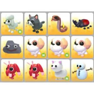 BUNDLE PET X12