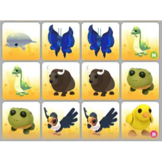 BUNDLE PET X12
