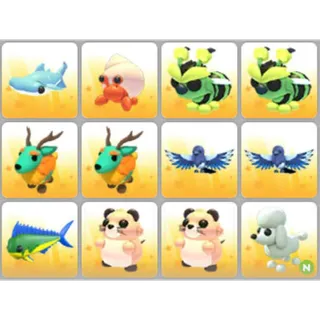 BUNDLE PET X12