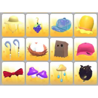 BUNDLE PET WEAR X12