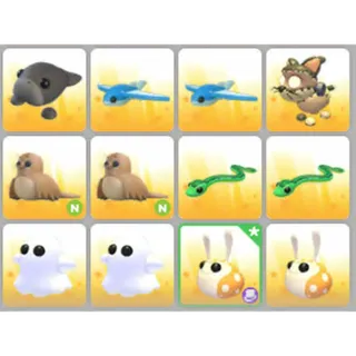 BUNDLE PET X12