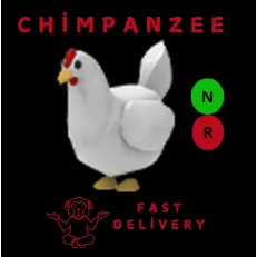 CHICKEN NR