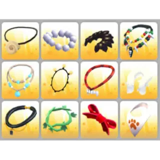 BUNDLE PET WEAR X12
