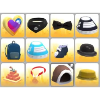 BUNDLE PET WEAR X12
