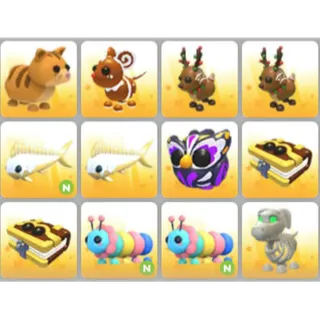 BUNDLE PET X12