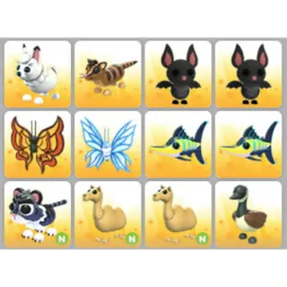 BUNDLE PET X12