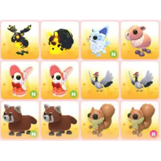 BUNDLE PET X12