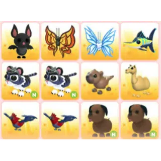 BUNDLE PET X12