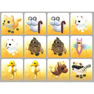 BUNDLE PET X12