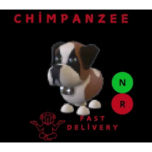 ST BERNARD NR