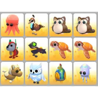 BUNDLE PET X12