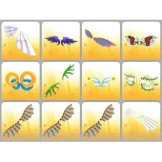 BUNDLE PET WEAR X12