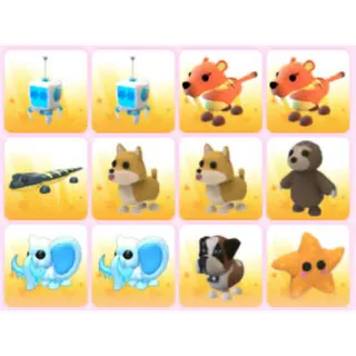 BUNDLE PET X12
