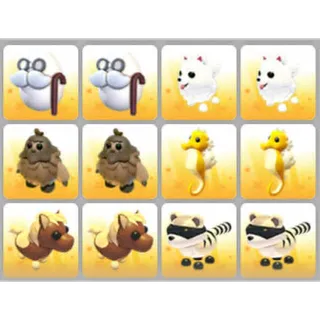 BUNDLE PET X12