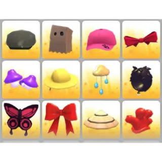 BUNDLE PET WEAR X12