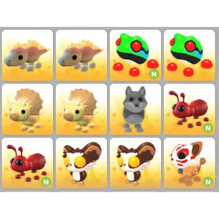 BUNDLE PET X12