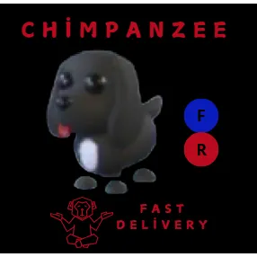 ROYAL PALACE SPANIEL FR