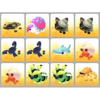 BUNDLE PET X12