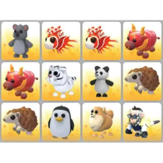 BUNDLE PET X12