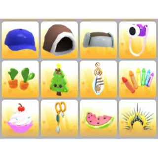 BUNDLE PET WEAR X12