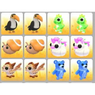 BUNDLE PET X12